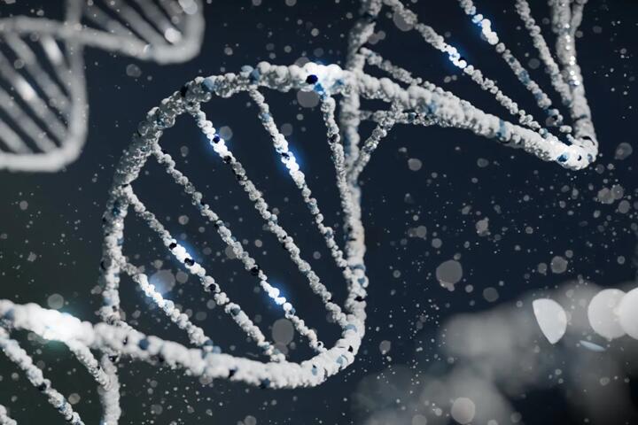 How Epigenetic Marks Change During Aging