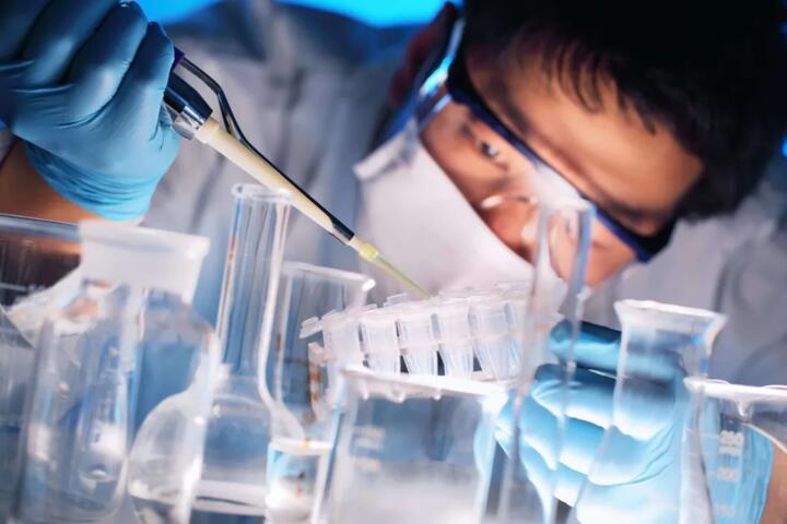 Unexpected Breakthroughs: The Weirdest Scientific Discoveries in Recent Years